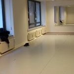 Best dance studios Berlin classes clubs your area